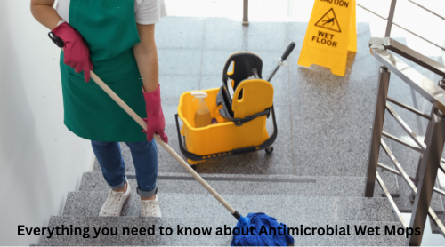 Everything you need to know about Antimicrobial Wet Mops