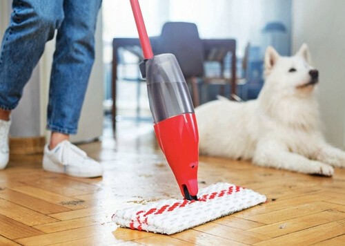 Where Technology, Quality, and Cleanliness Come Together