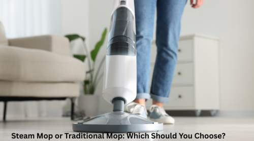 Steam Mop or Traditional Mop: Which Should You Choose?